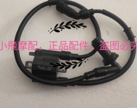 BJ150-31小迅龙150S高压包点火线...