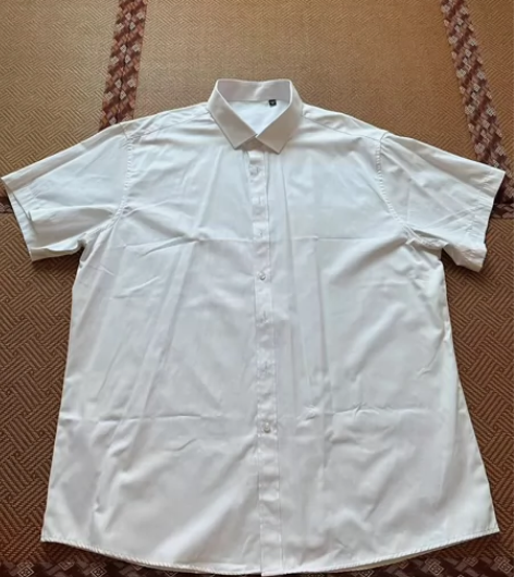 半袖男士白衬衫，185/116A  46码...