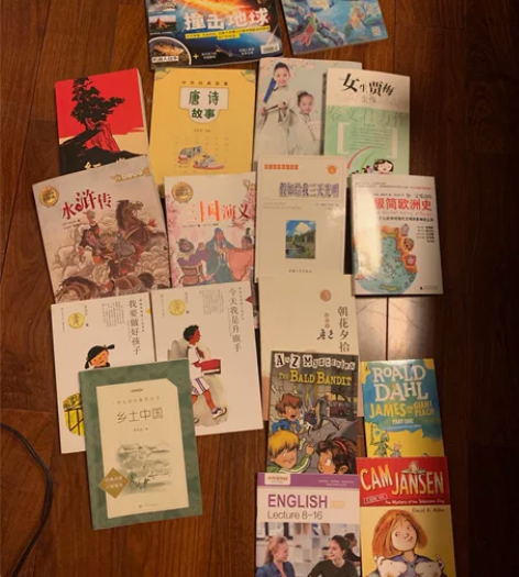 初中高中必读乡土中国 红岩等10/本 环球...