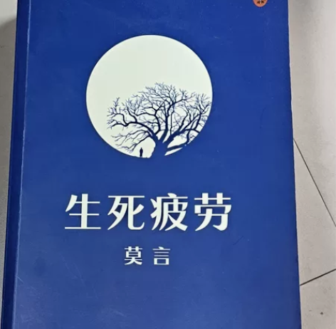 莫言的《生死疲劳》，李浩天的《放下》两本书...