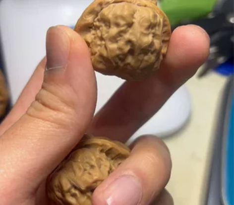 c12蛙蛙 36.37.5.30。36.3...