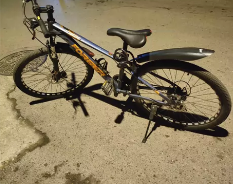 喜德盛店永久牌山地自行车 感兴趣的话点“我...