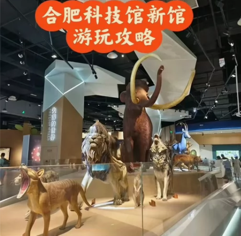 合肥新馆 (蜀西湖馆区) 科技馆周边游玩 ...