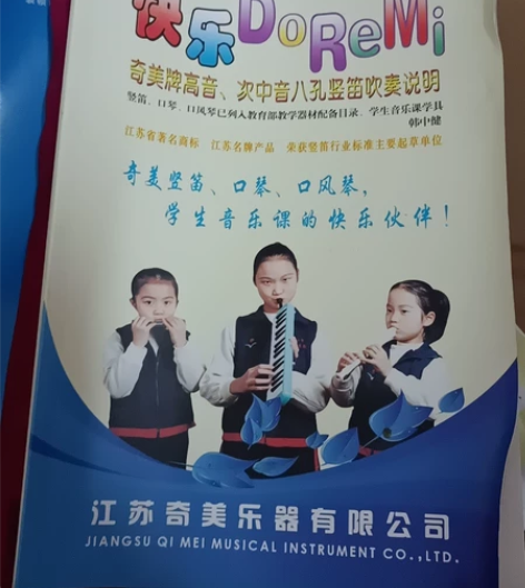 奇美竖笛德式高音6孔8孔小学生用初学者六孔...