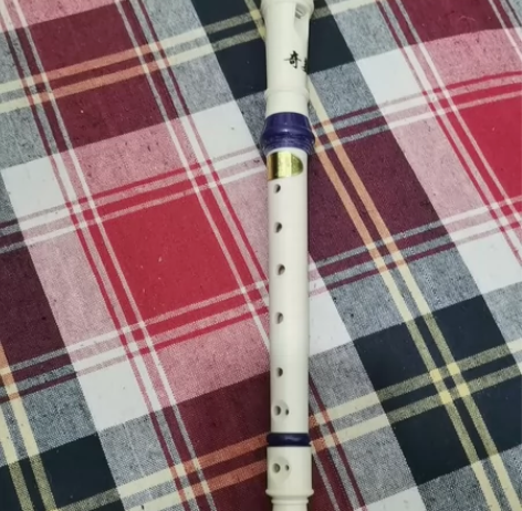 奇美竖笛8孔小学生用高音德式C调六孔八孔初...