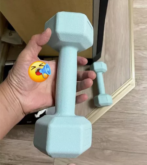 #家庭健身房 哑铃2kg一对全新实心减肥女...