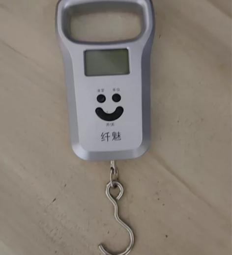 手提秤,充电式,50公斤的 买回来就用过...