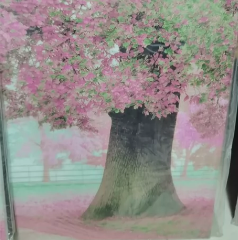 工艺画 感兴趣的话点“我想要”和我私聊吧～