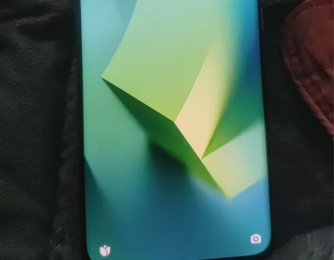 小米12已root 骁龙8gen1...