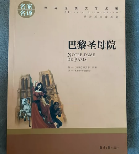巴黎圣母院 十元不包邮不议价巴黎圣母院 感...