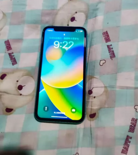 苹果11国行256G 成色好～爱思全绿！ ...