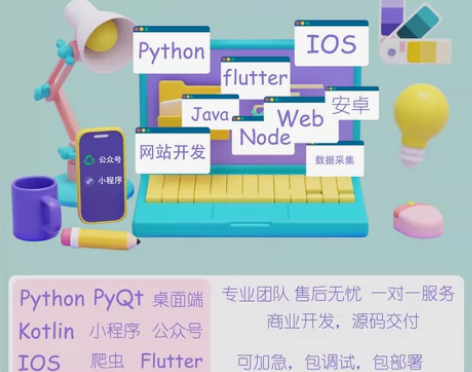 软件开发逆向破解xp模块开发瑞树逆向插件开...