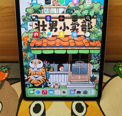 佛系女生！带笔出iPad2021款ipad...