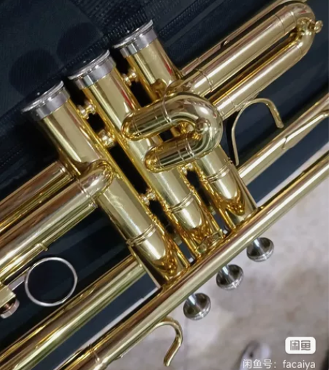 jbtr-300津宝小号，降B调。细节在下...