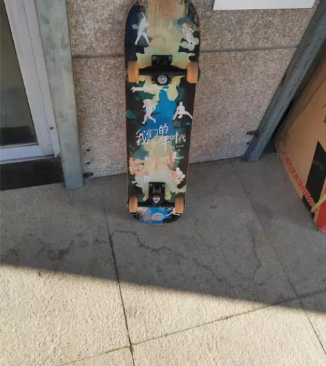 威仕迪专业滑板双翘成人青少年男女初学者公路...