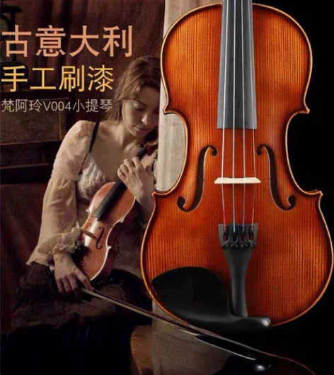 梵阿玲小提琴 全新买来吃灰 需要的来 琴类...