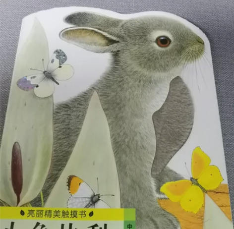 小兔比利(中英双语)/亮丽精美触摸书系列 ...