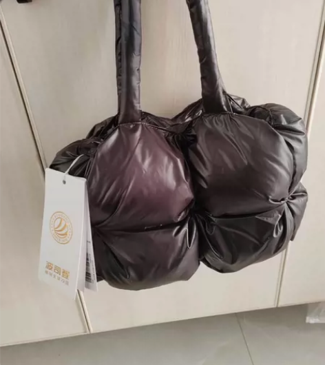 波司登品牌云朵包包，全新，吸扣式，里面有个...