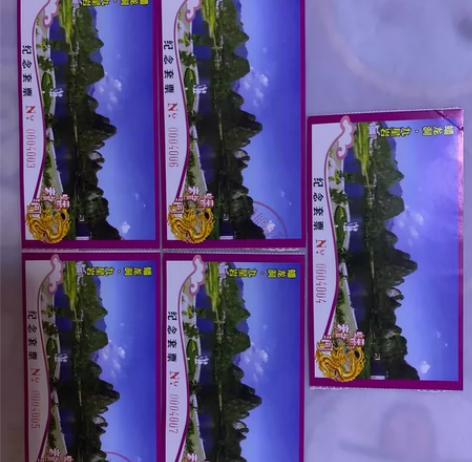 洋沙湖旅游景区套票共10张，每张52元出售...