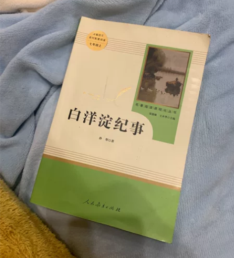 白洋淀 纪事##amp；amp；湘行散记#...