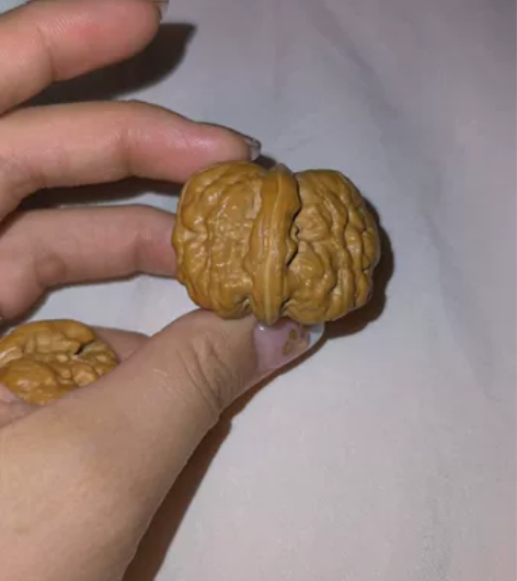 40+怀柔蛤蟆头，属于矮胖型蛙蛙，肉肉的，...