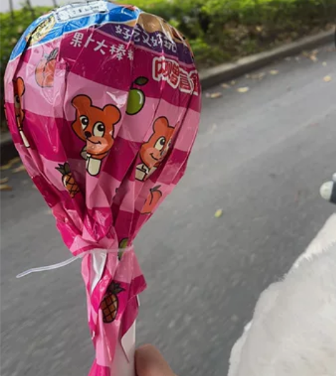 新南威尔士（澳洲专区）商科留学生一对一辅导...