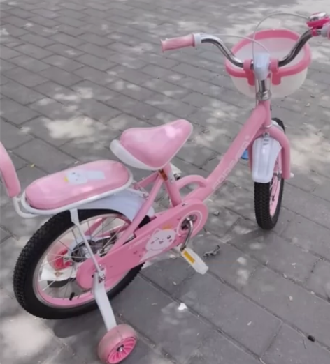 16寸合金轮可折叠永久自行车，9.5成新，...