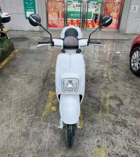 9成新雅迪爱玛新国标，买来一年多点，锂电池...