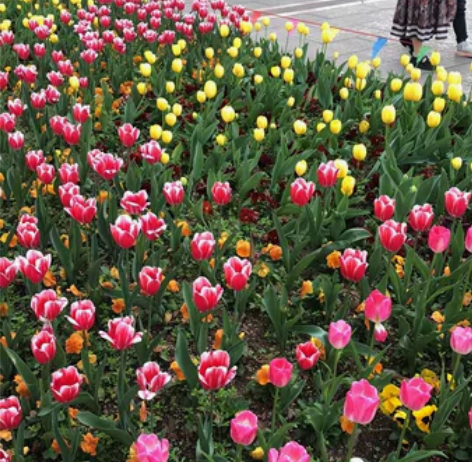 杭州羽毛球陪练/基础提高教学 羽毛球陪练/...