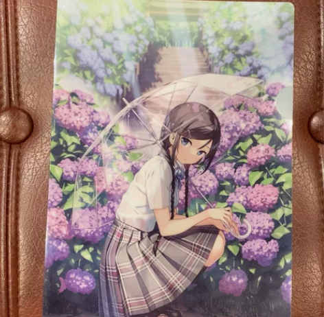 赤井秀一同人谷 仅拆封 默认厂暇 直拍送洞...