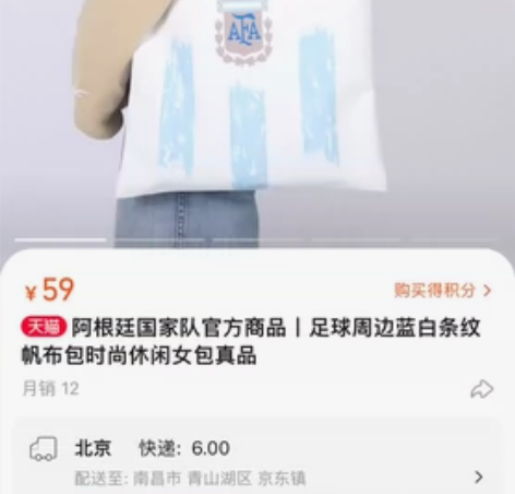 阿根廷国家队官方商品丨足球周边蓝白条纹帆布...