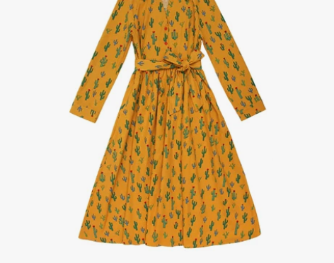 ?【达摩流浪者】13PLUS流浪共和独立自...