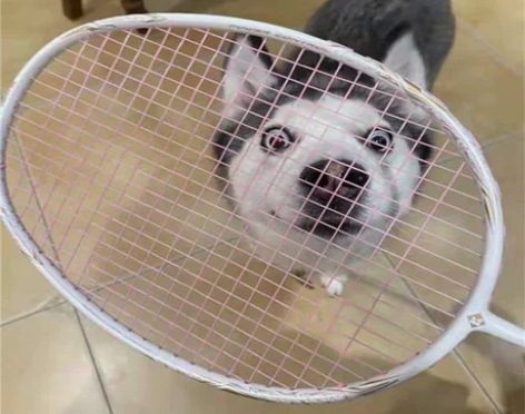 熏风k520pro羽毛球拍官方正品超轻碳素...