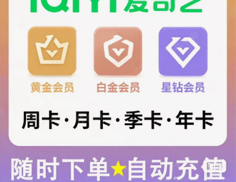 快充直充-银河奇异果TV会员·爱奇艺视频会...