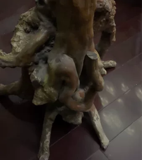 树根  根艺  根雕 大概长60，宽60，...
