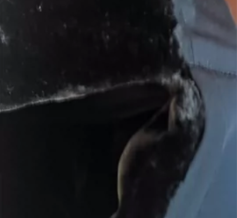 全新雷锋帽男冬季加绒加厚保安棉帽东北大棉帽...