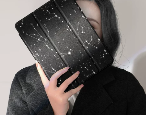 DSFIPN适用ipad保护套pro202...