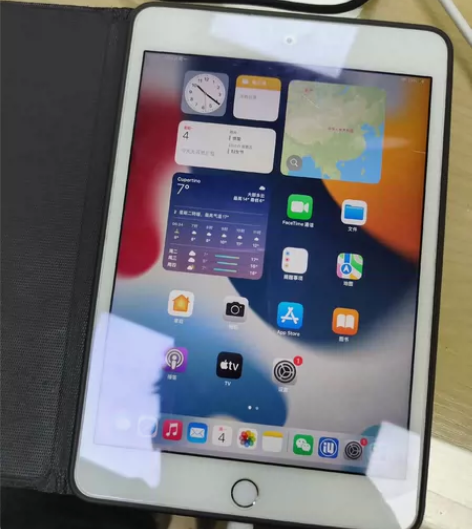 iPad mini4 港版64g，带面容蜂...
