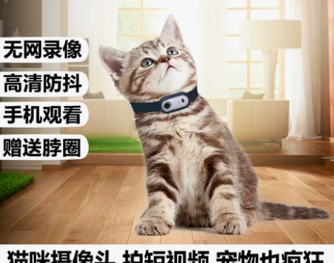 宠物记录仪猫狗视角录音录像防抖动物运动相机...