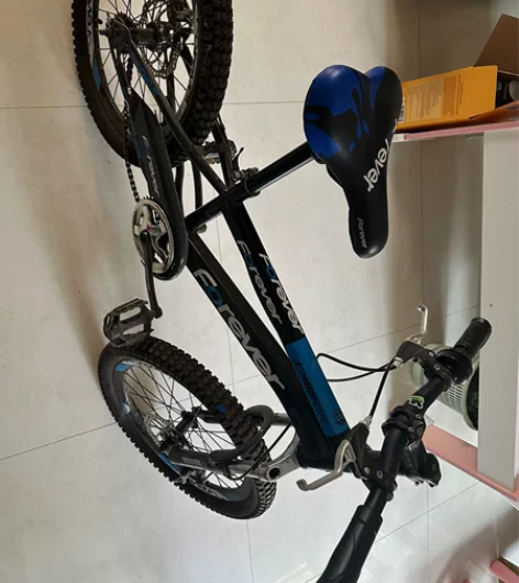 永久自行车儿童6-8-12岁24寸小学生男...