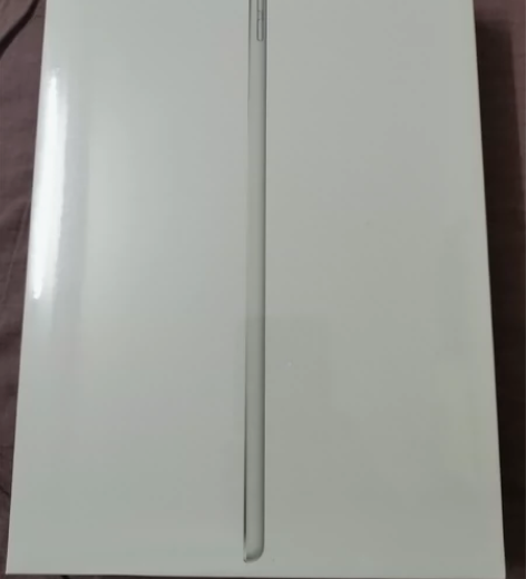 ?全新未拆封ipad9代 银色 256G一...