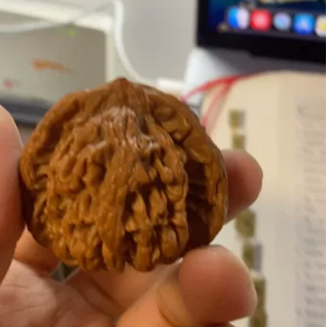 文玩核桃粗筋置换边47.2   肚44.4...