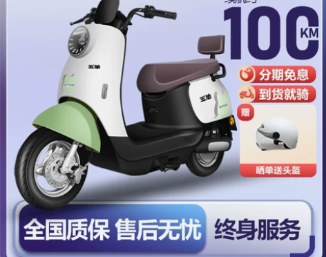 五羊百公里小龟王轻便型电动摩托车