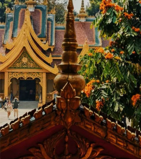 西双版纳，勐泐大佛寺游玩攻略 原价120，...