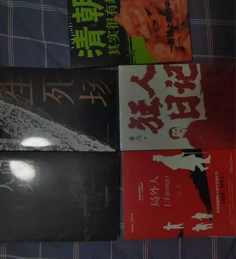 生死场，狂人日记，局外人图书，博弈论，人类...