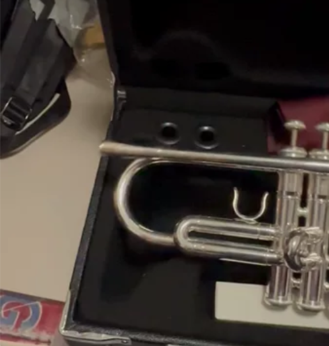 正宗国产雅马哈小号乐器，降b调，跟琴行培训...