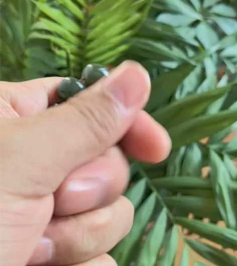 新疆戈壁白皮籽料卡12老型珠手串，重52....