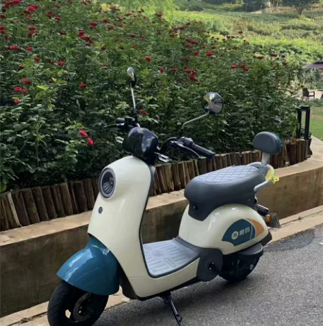 二手电动车雅迪爱玛款式品牌都有 9成新，外...