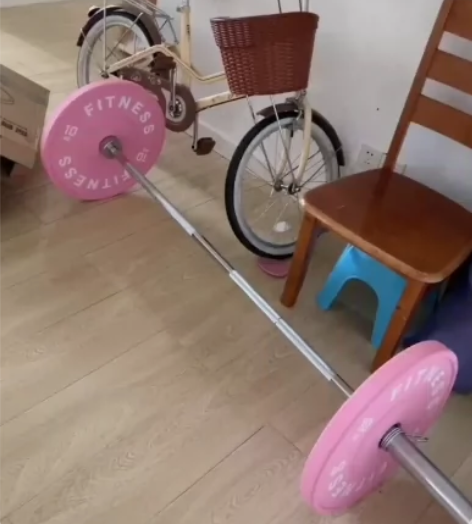 工作室倒闭，全新100kg马卡龙彩色杠铃大...