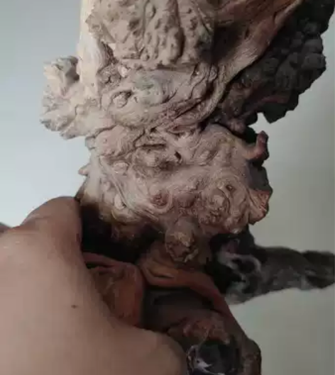 根雕摆件  实价包邮 品质上乘 每一件都是...